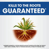 Roundup Weed & Grass Killer4 Concentrate