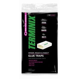 Spider, Roach & Insect Trap, 4-Pk.