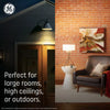 GE Ultra Bright LED 150 Watt Replacement, Daylight, BR30 Indoor Floodlight Bulbs (2 Pack)