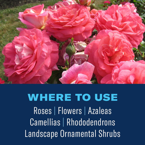 BioAdvanced Shrub Care Protect & Feed Granules