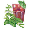 Botanical Interests Lemon Balm Seeds