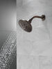 Delta H2Okinetic® 5-Setting Shower Head in Venetian Bronze